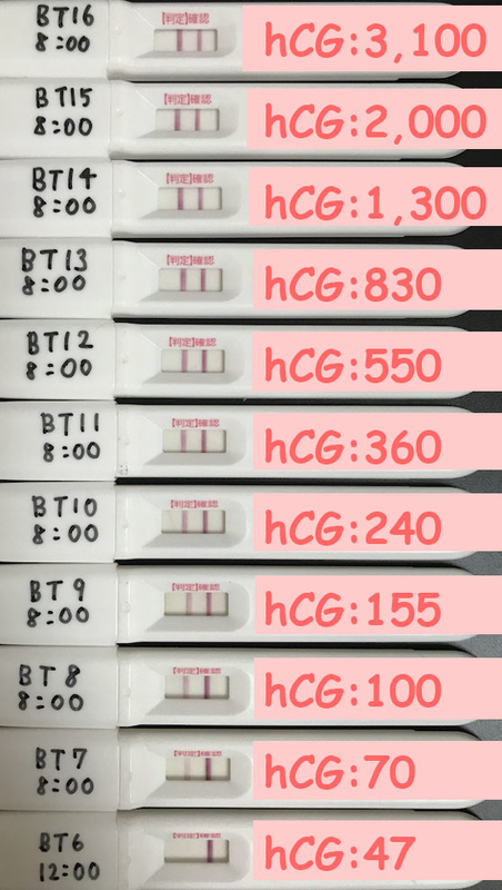 BT6-16hCG数値付き