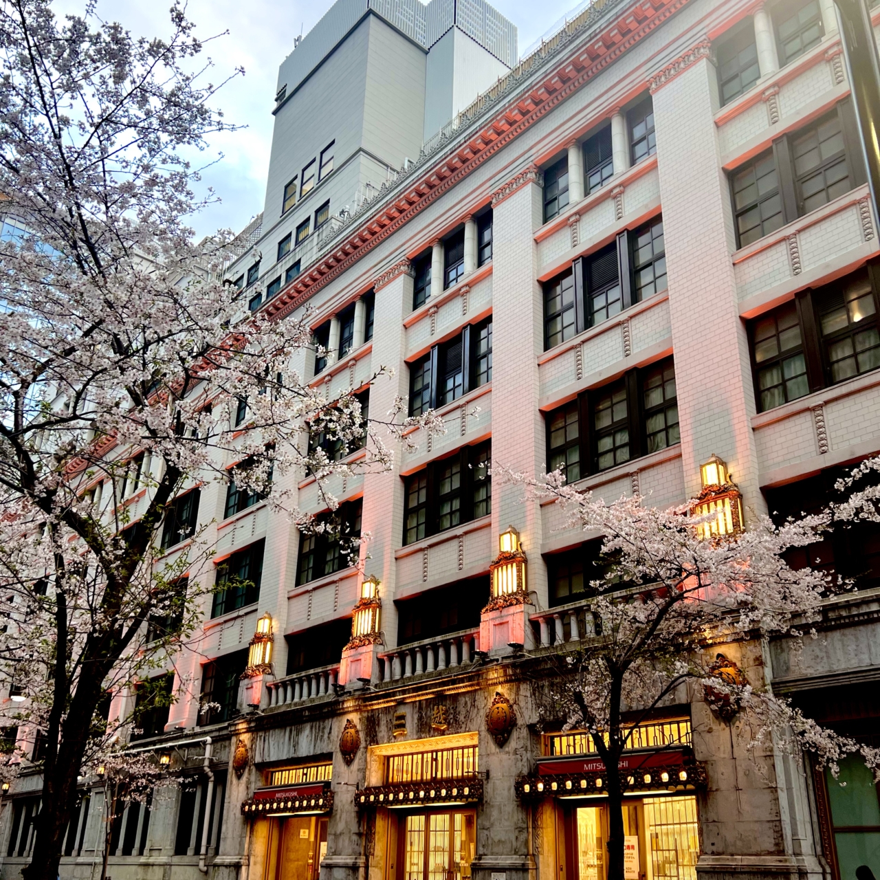 nihombashi-sakura